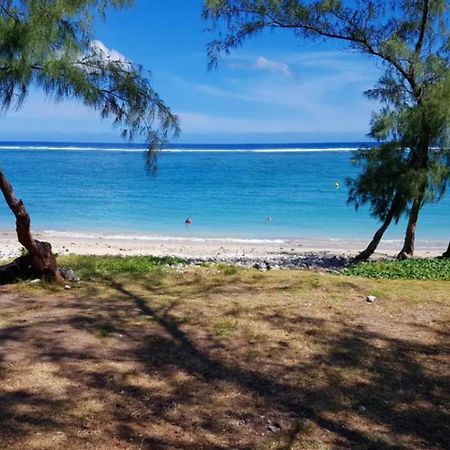 Le Tamarin Bleu - Studio A 300 M De La Plage La Saline Le Bains Ngoại thất bức ảnh