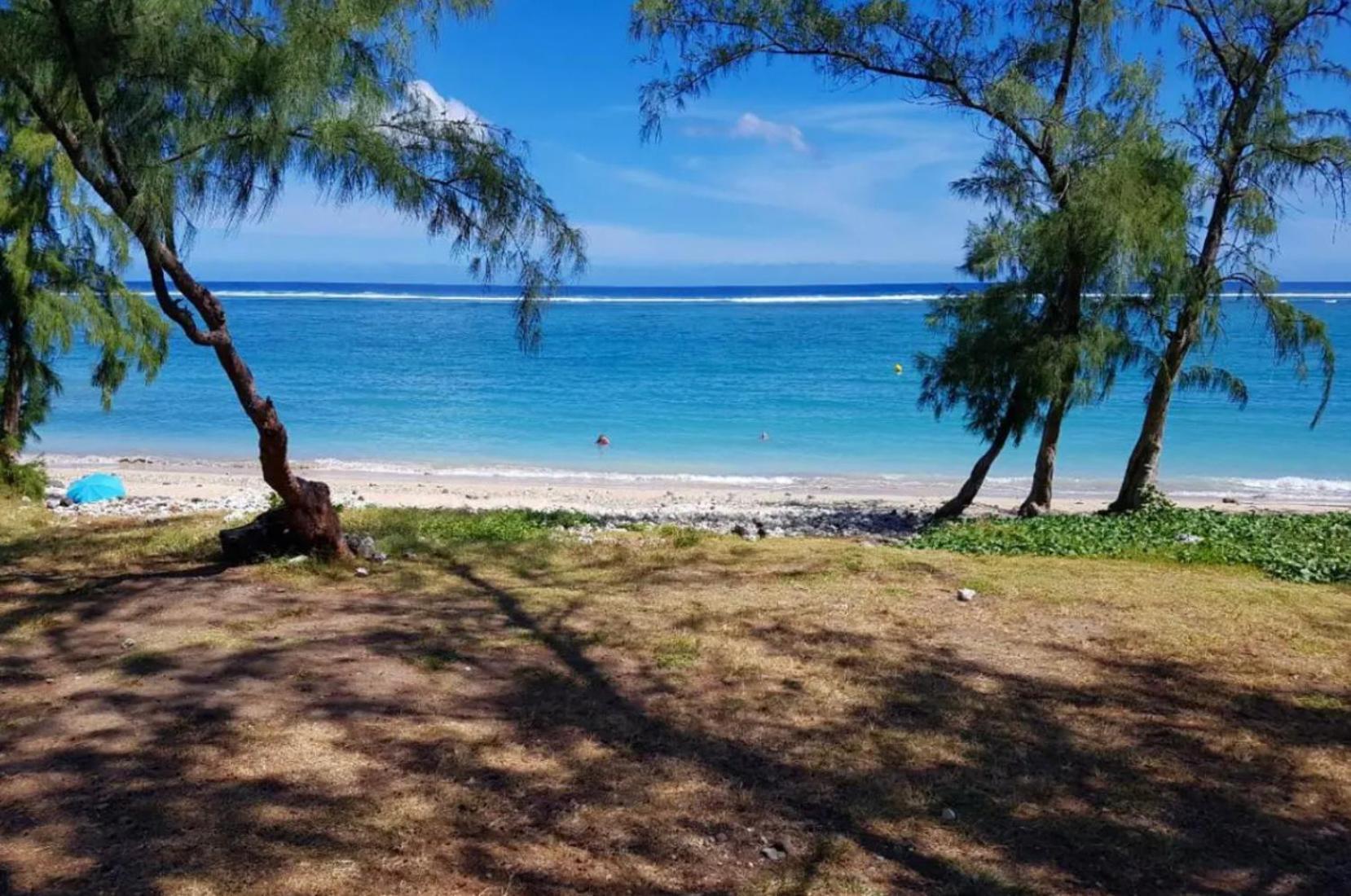 Le Tamarin Bleu - Studio A 300 M De La Plage La Saline Le Bains Ngoại thất bức ảnh